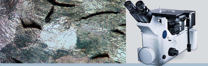 металлографический микроскоп GX 51 Olympus, Япония