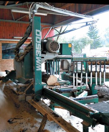 Ленточнопильный комплекс WOOD-MIZER WM3500